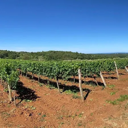 Oliva Istria Вилла