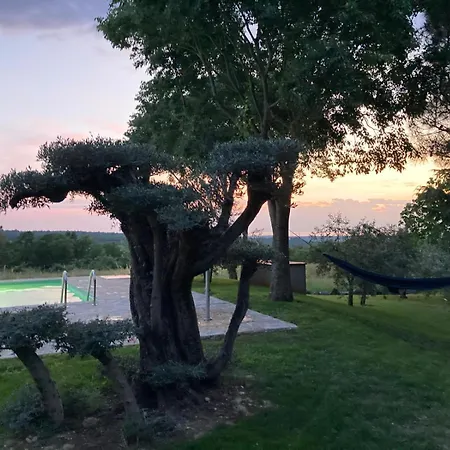 Oliva Istria * Vižinada