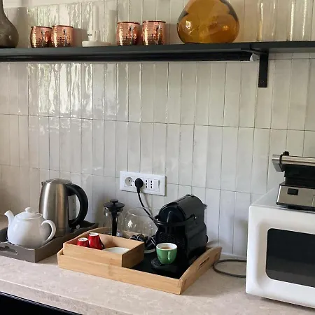 Oliva Istria 别墅 Vižinada