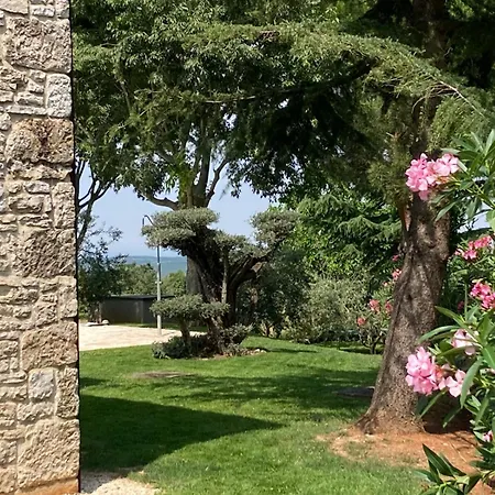 Oliva Istria * Vižinada