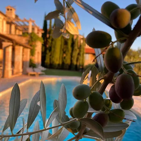 Вилла Oliva Istria