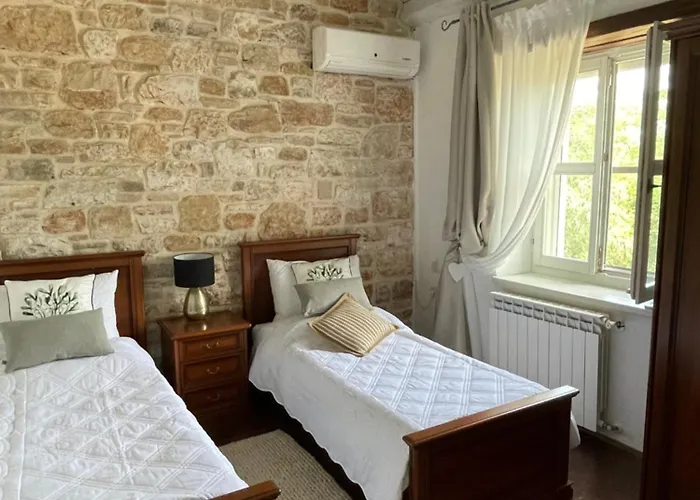 Oliva Istria * 비지나다