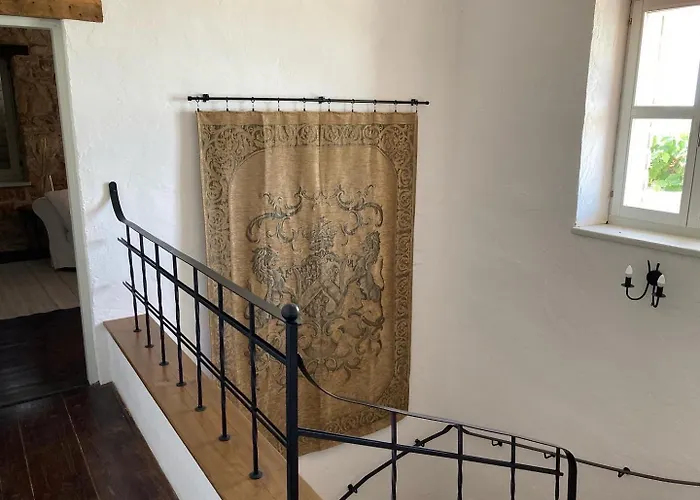 Oliva Istria * 비지나다