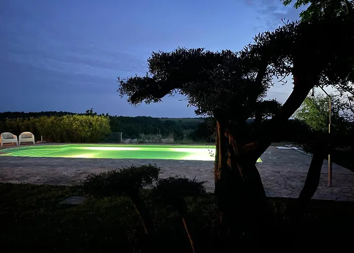 Oliva Istria 비지나다