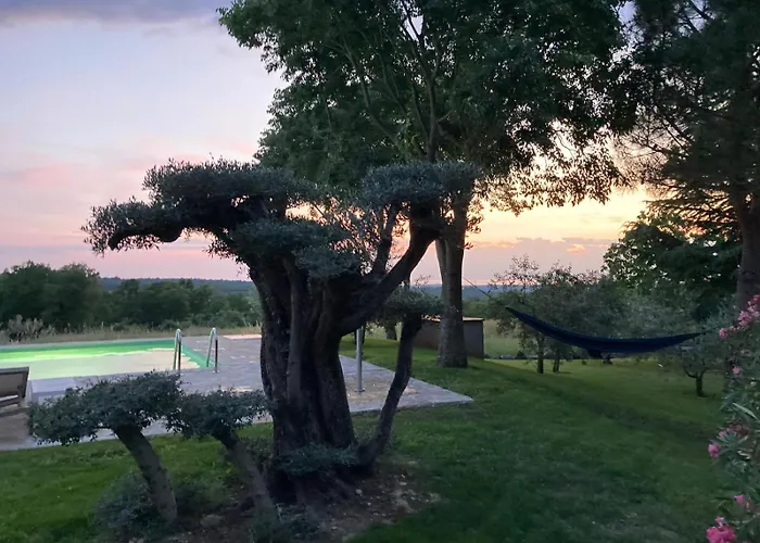 Oliva Istria * 비지나다