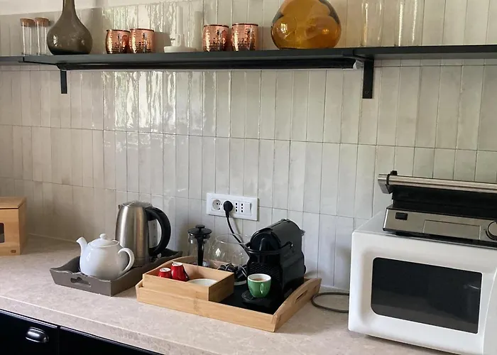 Oliva Istria 빌라 비지나다