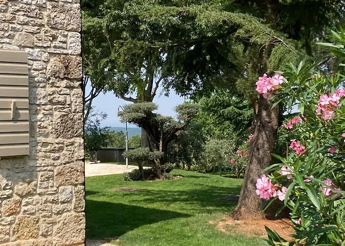 Oliva Istria * 비지나다