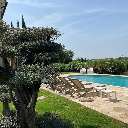 Oliva Istria