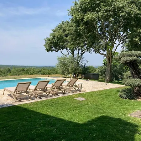 Oliva Istria