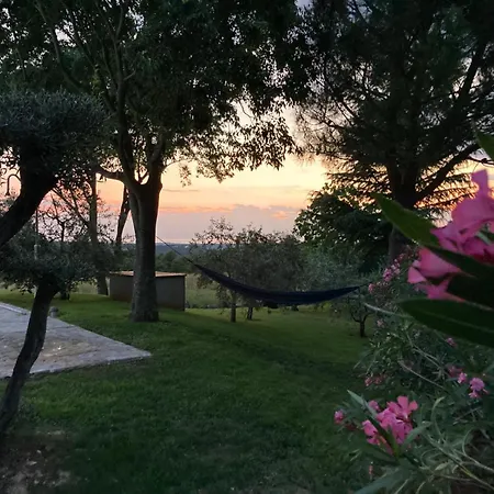 Villa Oliva Istria *