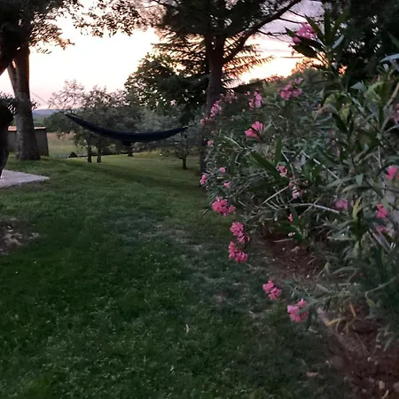 Villa Oliva Istria Vizinada