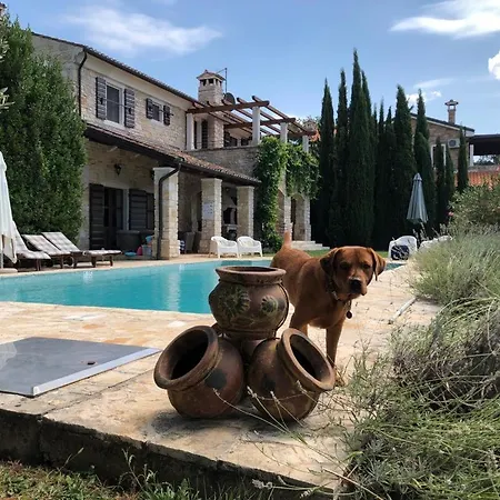 Oliva Istria