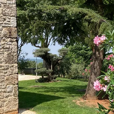 Oliva Istria * Vizinada