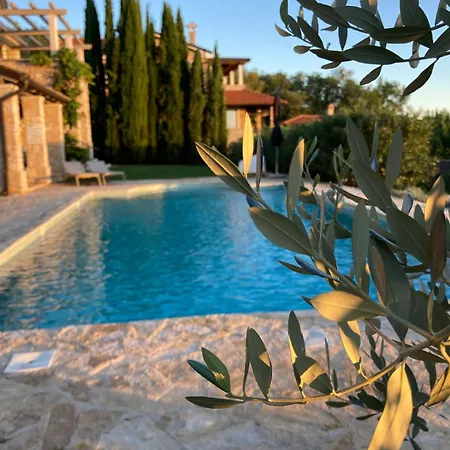 Oliva Istria